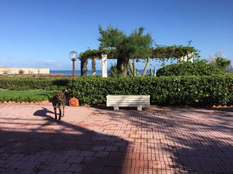 مبيت وإفطار ترابيتو Magnolia Gialla المظهر الخارجي الصورة